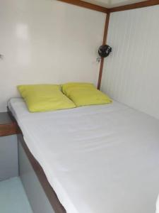 莱特鲁瓦西莱L'aquahome hébergement sur l'eau的一张白色的床,上面有两个黄色的枕头