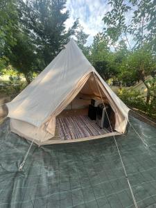 Camping & Glamping Muiñeira平面图