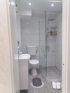 博尔DIV Bor的带淋浴、卫生间和盥洗盆的浴室