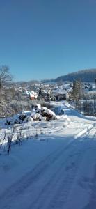 乌伊索维Nad Cicha的一条雪覆盖着房屋的道路