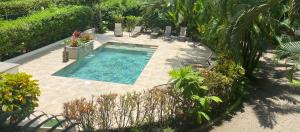 赫拉多拉Villas Majolana的花园游泳池的顶部景色