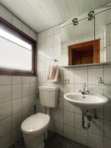 RiesteNur-Dach-Haus am Alfsee的一间带卫生间和水槽的浴室