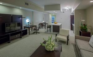 迈阿密普罗威登多拉布鲁酒店的带沙发和电视的客厅以及厨房。