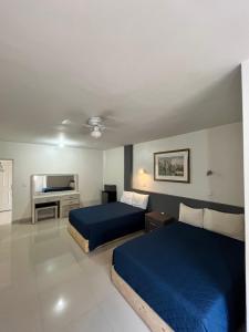 托雷翁BED BED HOTEL CORREGIDORA的酒店客房设有两张床和电视。