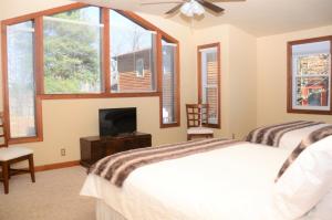 罗阿诺Bent Mountain Lodge的一间卧室设有一张床、一台电视和窗户。