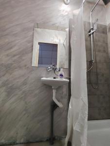 克卢日-纳波卡Casa Thomas Cluj的一间带水槽、镜子和淋浴的浴室