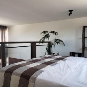 Balneário GaivotasThe Guest House hostel的一间卧室,里面装有床和植物