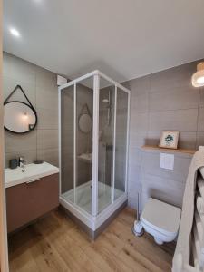 LathuilleStudio 2 personnes - lumineux - Lac d'Annecy的带淋浴、卫生间和盥洗盆的浴室