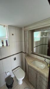 蓬塔格罗萨Ap Central c/ Garagem的一间带卫生间、水槽和镜子的浴室