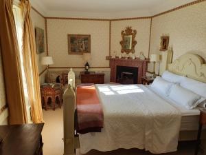 MountmellickSummergrove House的一间卧室设有一张大床和一个壁炉