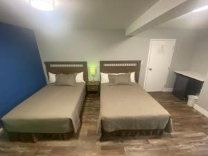 沃瓦Alpha Inn的蓝色墙壁客房的两张床