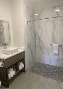 哥伦比亚MainStay Suites Columbia Harbison的带淋浴、水槽和镜子的浴室