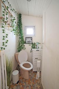迈松阿尔福Chambre 3, calme, 1 station de PARIS的浴室配有卫生间和墙上的植物