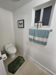 迈阿密The 305的一间带卫生间的浴室、一个窗户和地毯