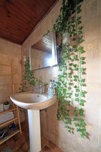 迈松阿尔福Chambre 2, calme, 1 station de PARIS的墙上设有带水槽和植物的浴室
