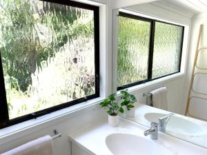 新普利茅斯Huatoki Hideaway Peaceful Central Location的一间带水槽的浴室和两个窗户