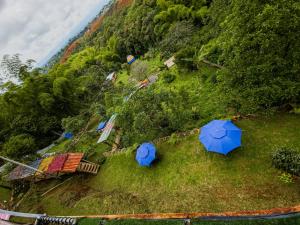 波帕扬Hostel paraiso de colores的山坡上草上两把蓝色的伞