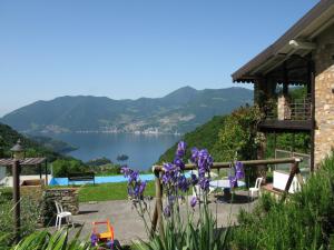 马罗内Chalet della Rota的紫色花房享有湖景