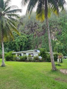 PareaCHEZ VAIANA的两棵棕榈树田里的房子