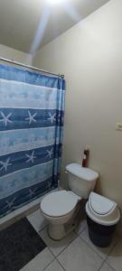 Colonia AlamitosConfortable habitación的一间带卫生间和淋浴帘的浴室