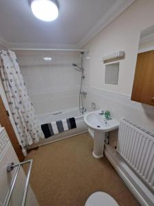 拉姆西The Elms Apartments Ramsey Isle of Man UK的带浴缸、卫生间和盥洗盆的浴室