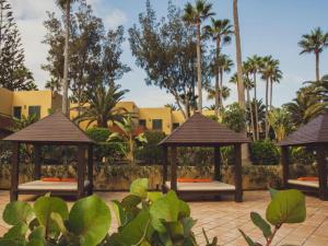科拉雷侯Pachi Beach Atlantic Garden Corralejo的一个带两个凉亭和棕榈树的度假村