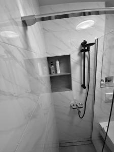 瓦拉日丁ASTORIA的带淋浴的浴室和玻璃门