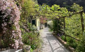 蒙特罗索阿尔马雷Villa Pietrafiore的一条小径上种着粉红色花的花园