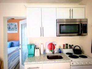 萨拉索塔~ Cozy In-law Apartment Close to Siesta Key ~的厨房柜台配有微波炉和水槽