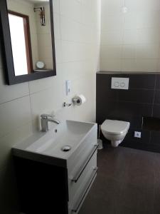 伏尔塔瓦河畔赫卢博卡阿德拉公寓的浴室配有白色水槽和卫生间。