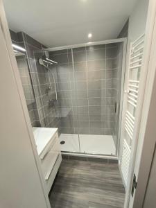 葱仁谷Roche Blanche Appartements VTI的带淋浴和盥洗盆的浴室
