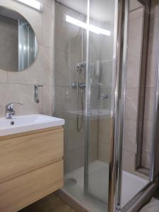 布鲁塞尔常青酒店的带淋浴和盥洗盆的浴室