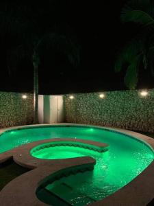 埃尔切4-bedroom Villa with pool and barbacue的夜晚带灯光的绿色游泳池