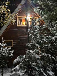 佩奇Villa Albani的雪中小屋,有圣诞树