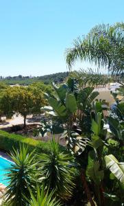 拉戈斯Casa Eleonora b&b的享有树木和游泳池的度假村景色