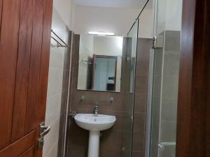 科伦坡Bliss Apartments Colombo的一间带水槽和玻璃淋浴的浴室