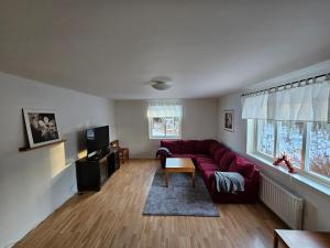 博伦厄Romme stugby的客厅配有红色沙发和电视