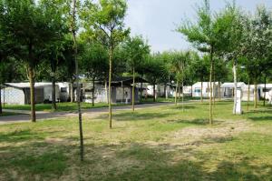 基奥贾Camping Internazionale - Sottomarina di Chioggia的公园里一群树木,有房子