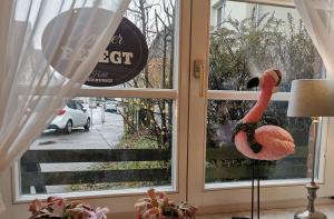 库克斯港戴赫沃格特酒店的火烈鸟站在窗户外