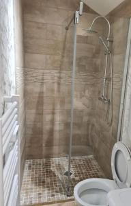 Saint-Germain-des-FossésPETIT GÎTE 18 ème tout confort的带淋浴和卫生间的浴室