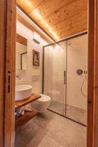 科尔蒂纳丹佩佐Casa Alvera Dream的一间带卫生间和玻璃淋浴间的浴室