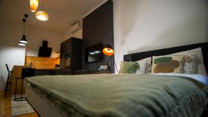 奥西耶克New Green Studio Apartment near Tvrđa的一间卧室配有一张床、一张书桌和一台电视