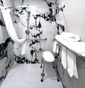 普莱诺达拉斯/普莱诺戴斯酒店的黑白浴室设有淋浴和水槽