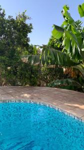 阿加迪尔Tiguimi Vacances - Oasis Villas, cadre naturel et vue montagne的蓝色的游泳池,旁边是一束树