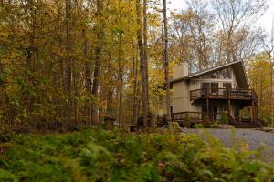 Pocono PinesSweet William A Lake Naomi Chalet Membership的森林中心的房子
