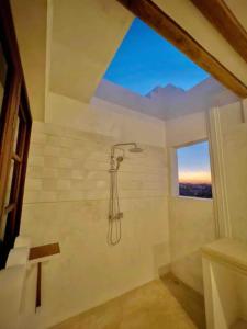 ShelaKilele House的带淋浴的浴室和窗户