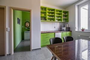 米库洛夫格列佛公寓酒店的厨房配有绿色橱柜和桌子