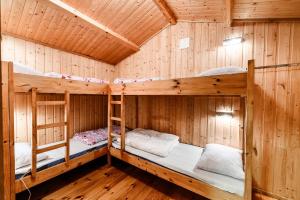 IsfjordenKorsbakken Camping的小木屋配有两张双层床。