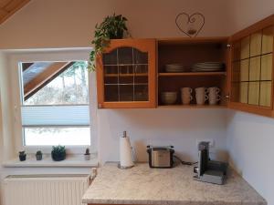 费拉赫Alpenloft Theresia的厨房配有台面和窗户