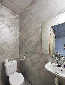克卢日-纳波卡Casa Thomas Cluj的一间带卫生间和水槽的浴室